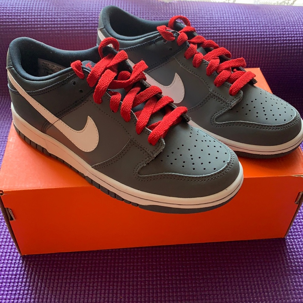 4.5 Youth Nike Dunk Low, Brand New (NO BOX)